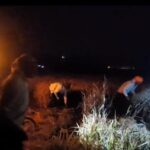 farmers cutting paddy crop at night in mulshi taluka of pune disstrict